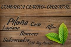 comarca_centro_oriental_240x160.jpg