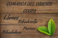 comarca_oriente_costa_240x160.jpg