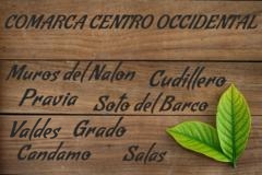 comarca_centro_occidental_240x160.jpg